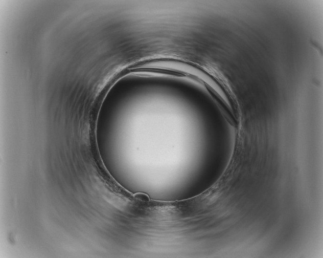 X0000100210108200805301334