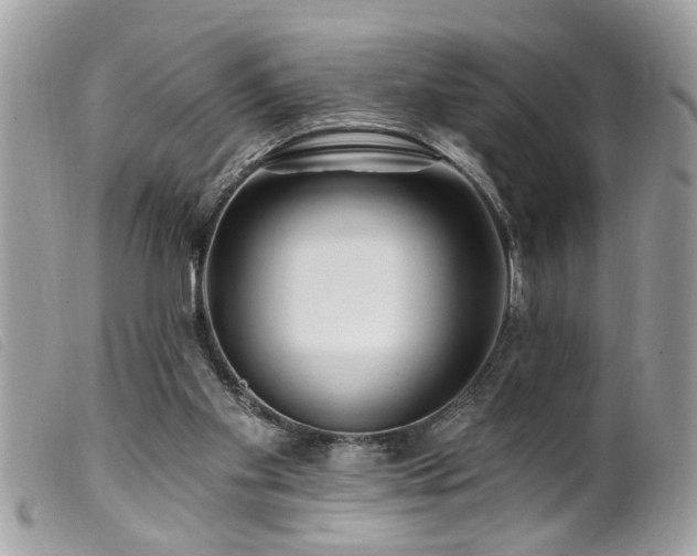 X0000100210109200805301334