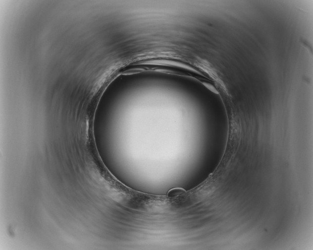 X0000100210110200805301334