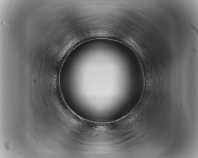 X0000100210111200805301334