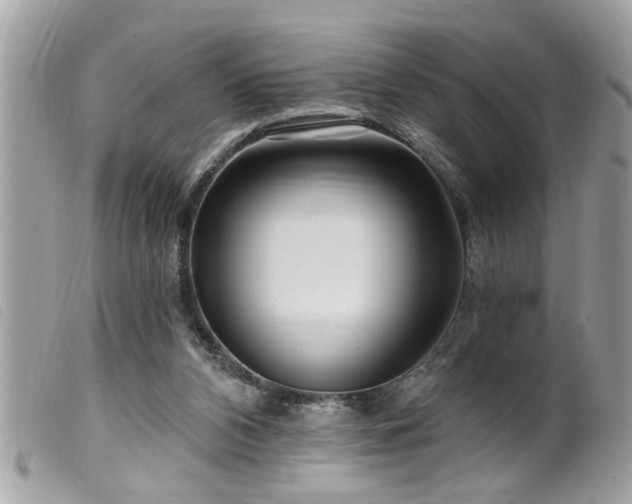 X0000100210112200805301334