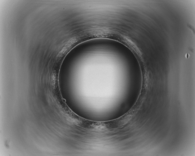 X0000100210113200805301334