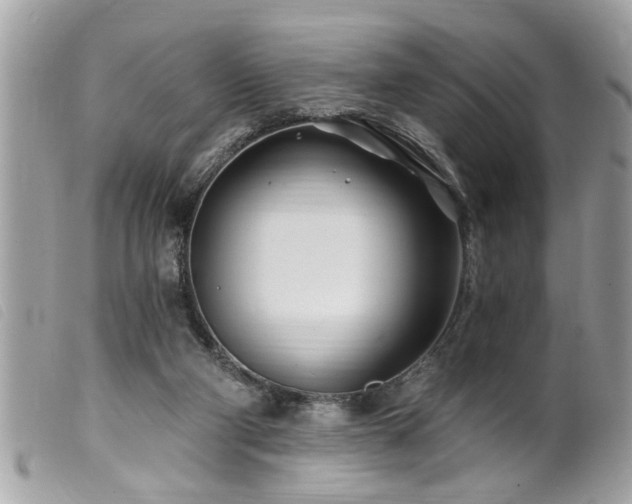 X0000100210114200805301334