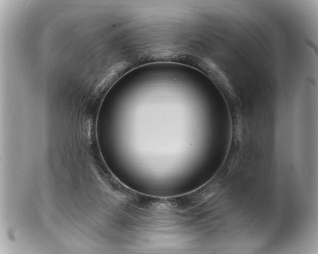 X0000100210115200805301334