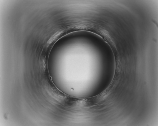 X0000100210116200805301334