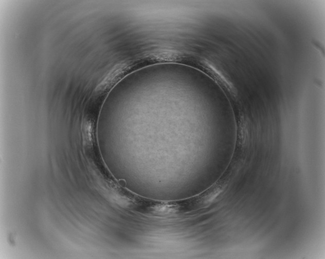 X0000100210117200805301334