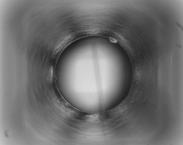 X0000100210118200805301334