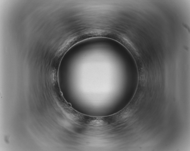 X0000100210119200805301334