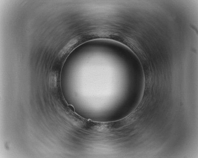 X0000100210120200805301334