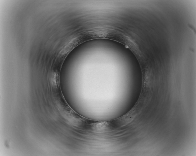 X0000100210122200805301334