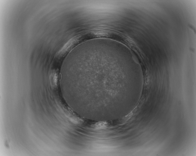 X0000100210124200805301334