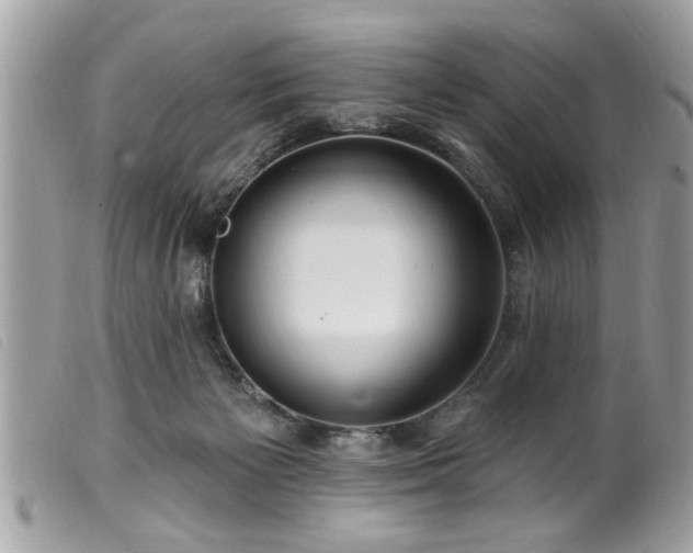 X0000100210125200805301334