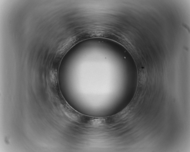 X0000100210126200805301334