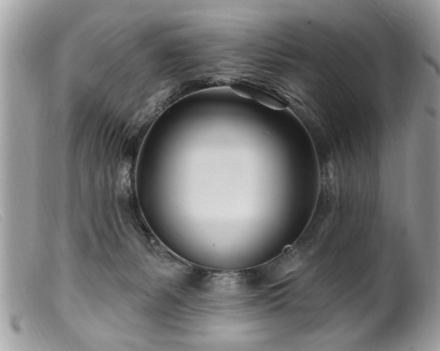 X0000100210127200805301334