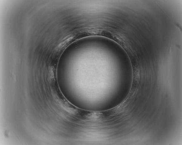 X0000100210128200805301334