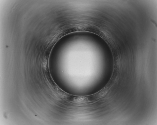 X0000100210129200805301334