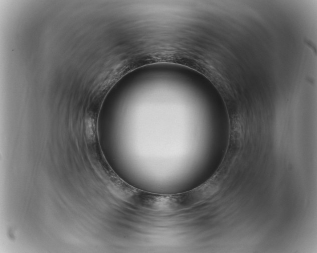 X0000100210130200805301334