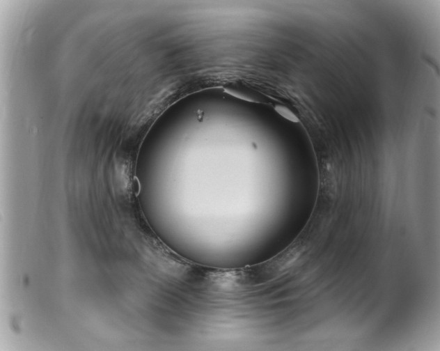 X0000100210131200805301334