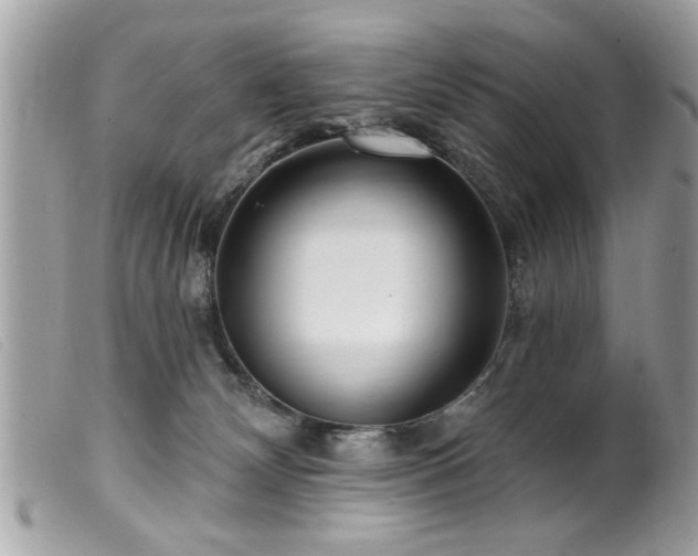 X0000100210132200805301334