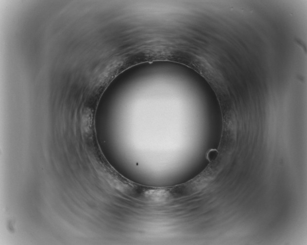 X0000100210133200805301334