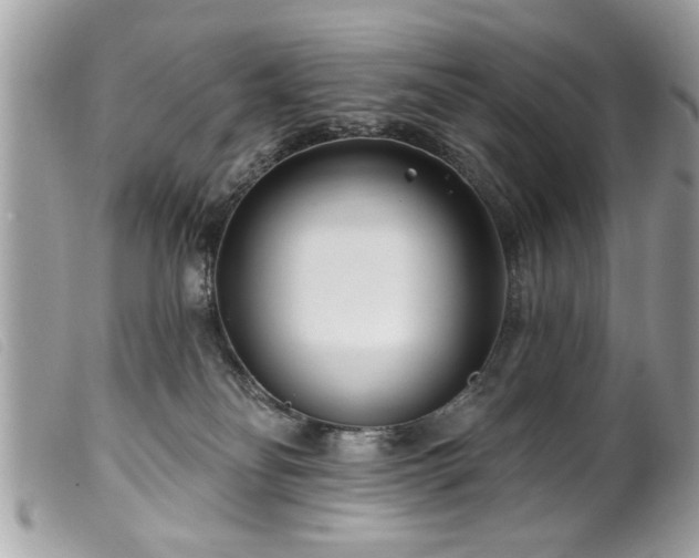 X0000100210134200805301334