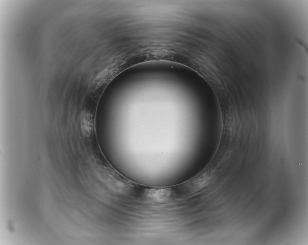 X0000100210135200805301334