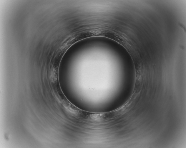 X0000100210136200805301334