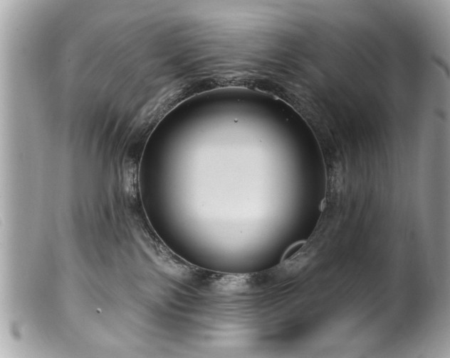 X0000100210138200805301333