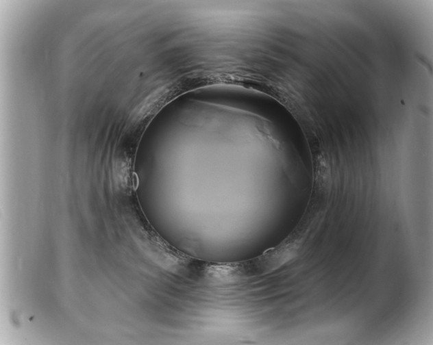 X0000100210139200805301333