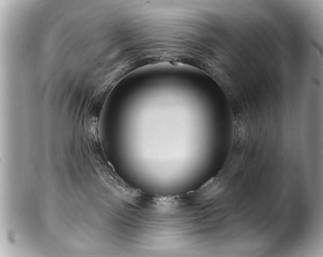 X0000100210141200805301333