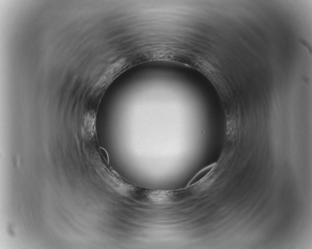 X0000100210142200805301333