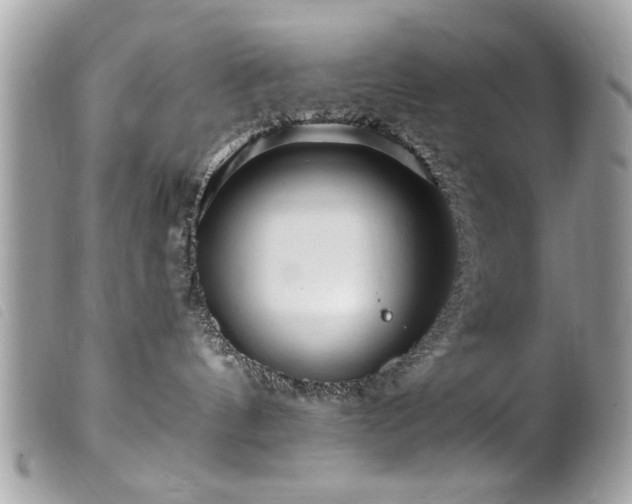 X0000100210144200805301333