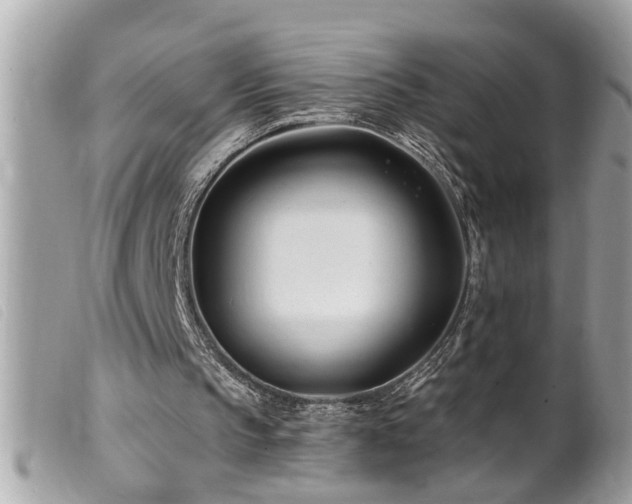 X0000100210145200805301333