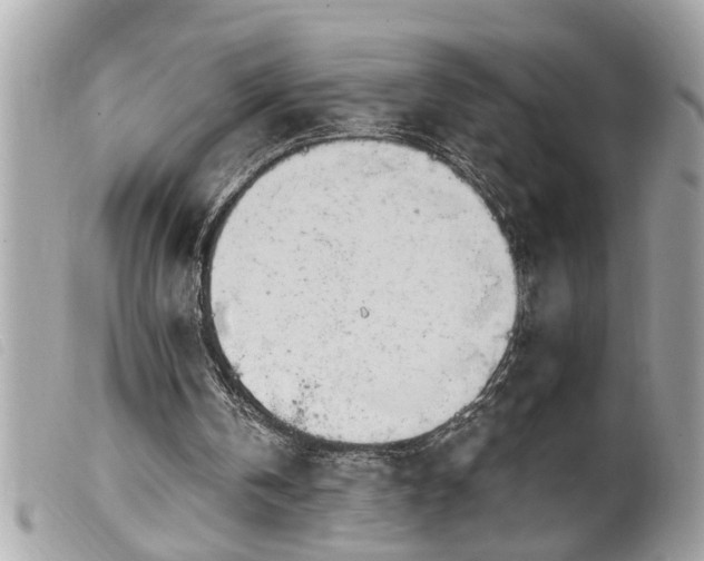 X0000100210146200805301333