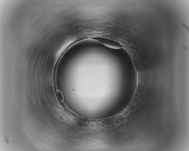 X0000100210147200805301333