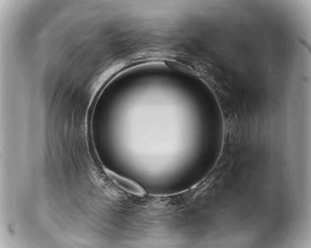 X0000100210148200805301333