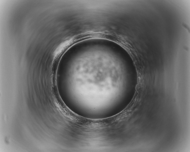 X0000100210149200805301333