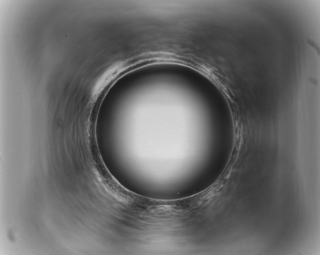 X0000100210151200805301333