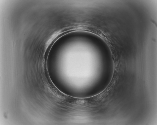 X0000100210152200805301333