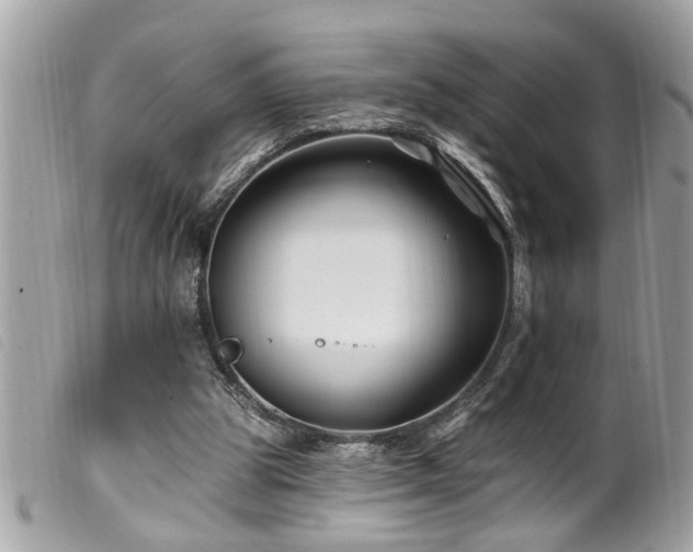 X0000100210153200805301333