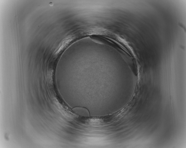 X0000100210154200805301333