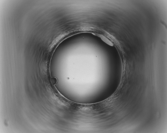 X0000100210155200805301333