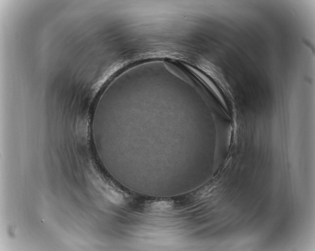 X0000100210156200805301333