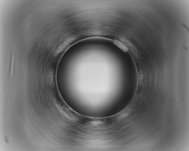 X0000100210158200805301333