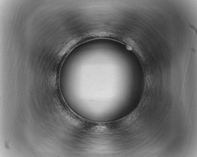 X0000100210159200805301333