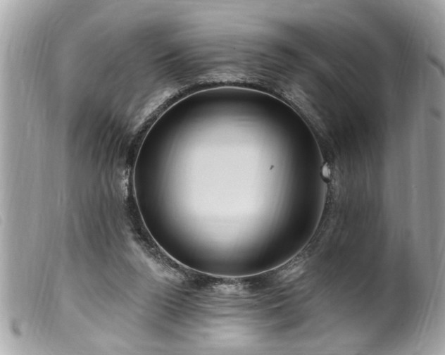 X0000100210160200805301333