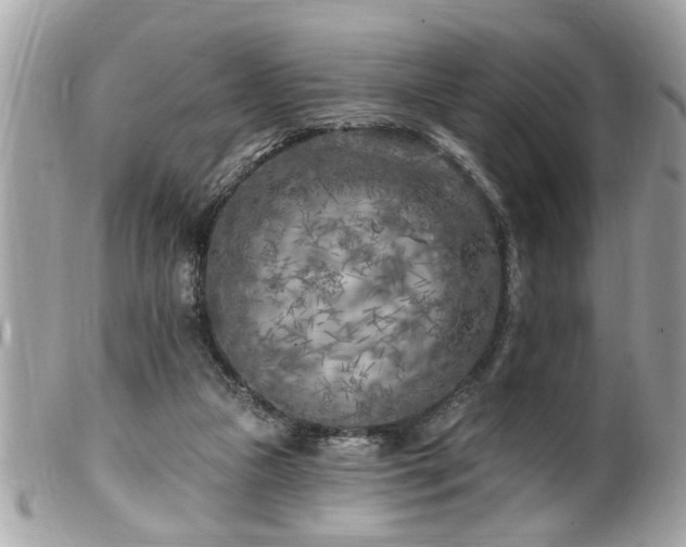 X0000100210161200805301333