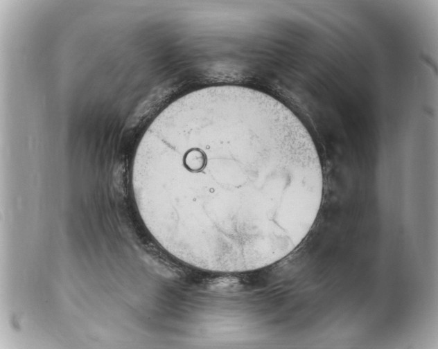 X0000100210162200805301333