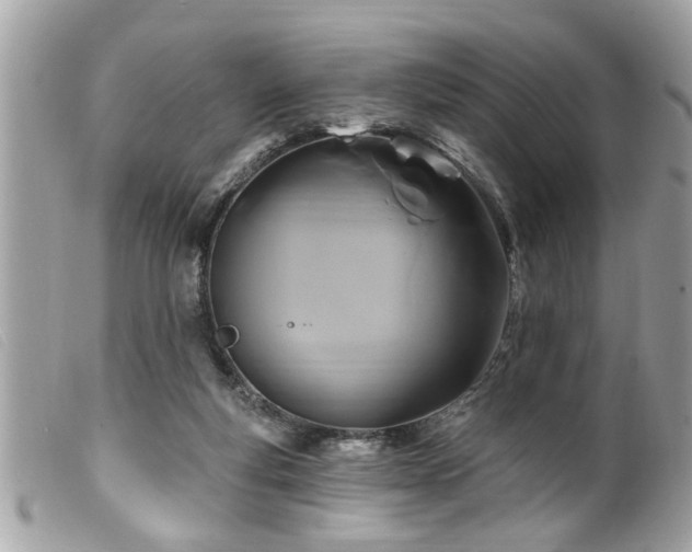 X0000100210163200805301333