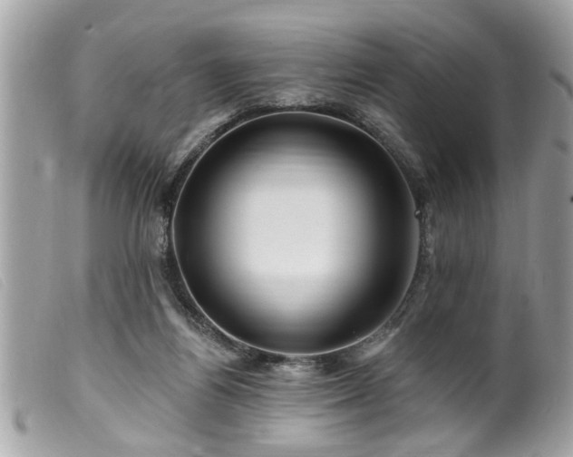 X0000100210164200805301333